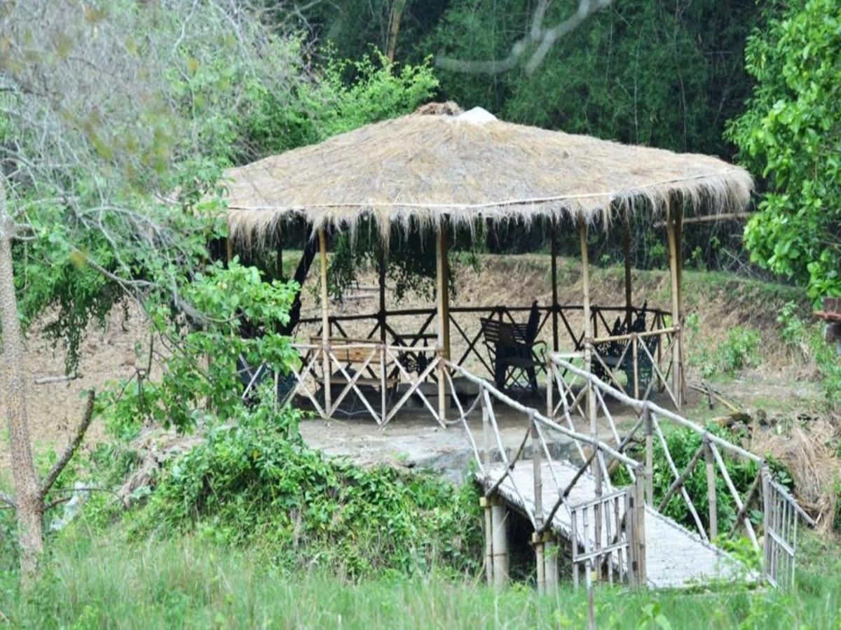 Hôtel Jungle Hut à Masinagudi Extérieur photo